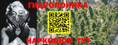 дурь Краснознаменск